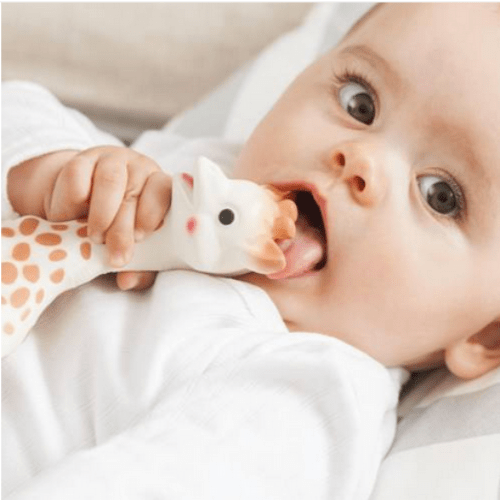 Sophie La Girafe Teether Gift Box - Mini Muse co.